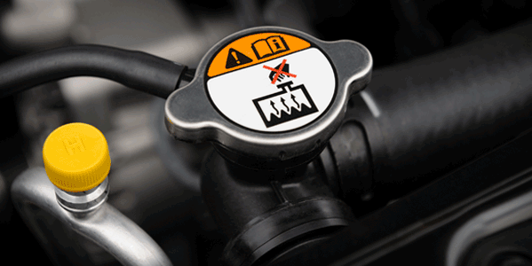 Parts guide page images