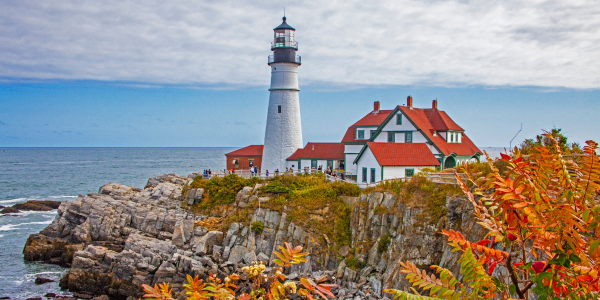 New York State Inspection.D - Article